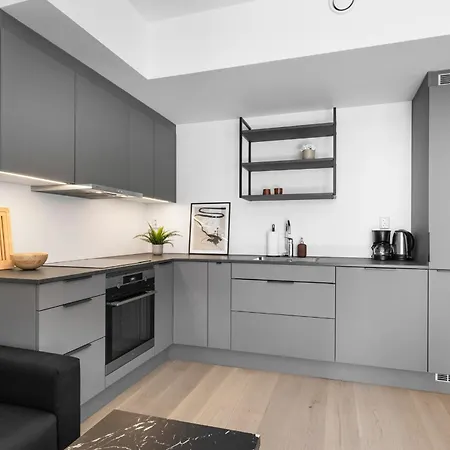 High Standard In Center Appartement Oslo