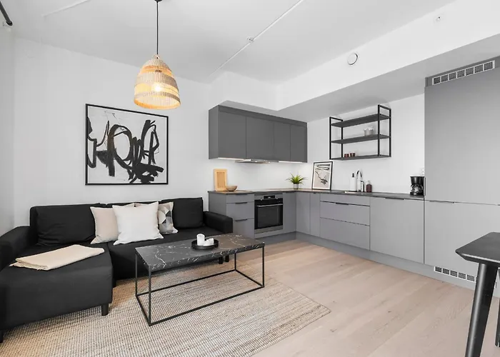High Standard In Center Oslo