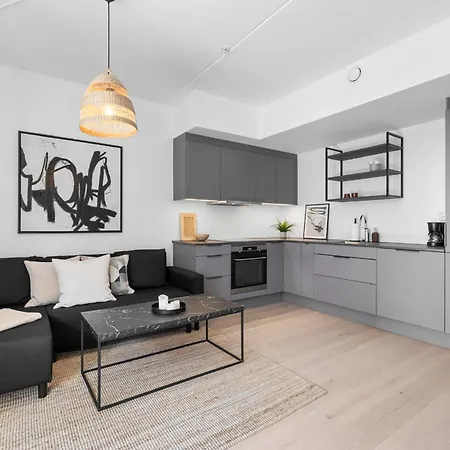 High Standard In Center Oslo